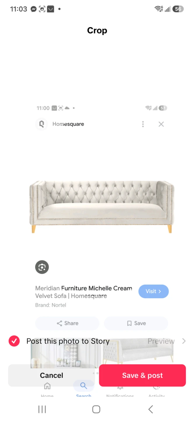Velvet couch .