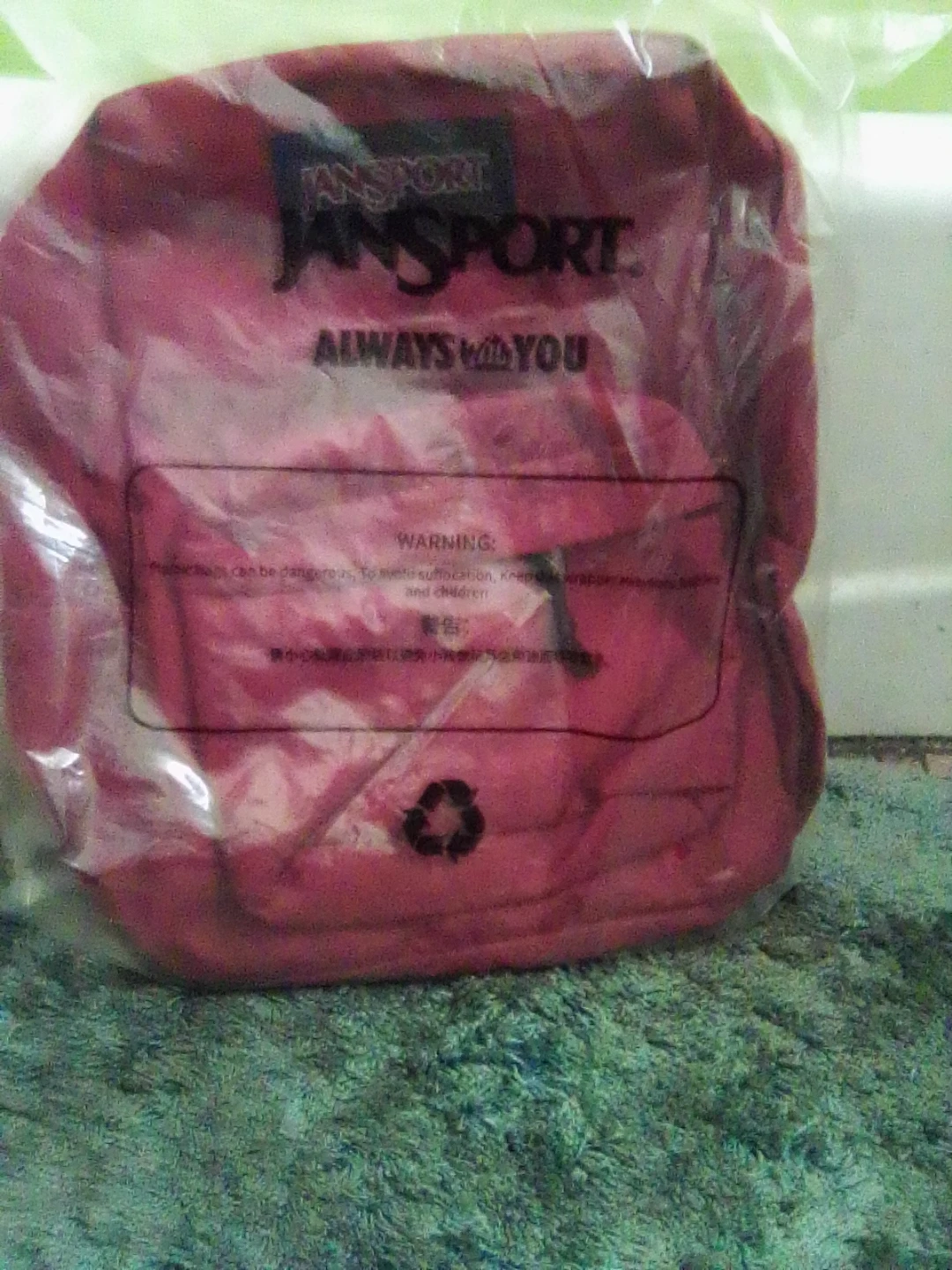 Jan sport back pack