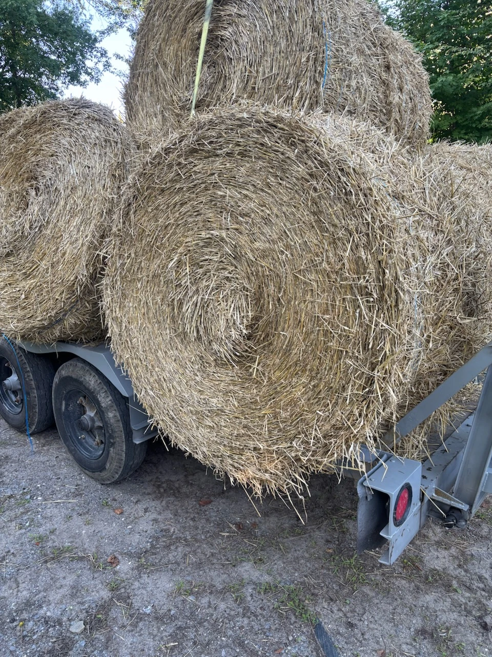 Large Round Wheat Straw Bales
