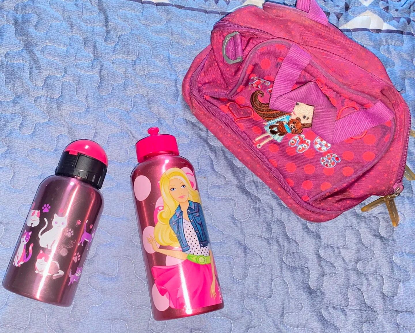 Barbie and Cat Water Bottles with Pink Backpack