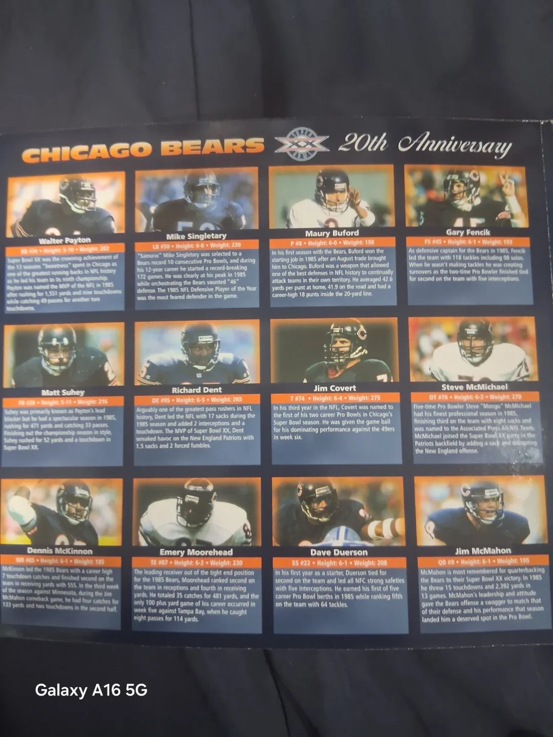 Chicago Bears 20th Anniversary Medallion Collection - photo 5