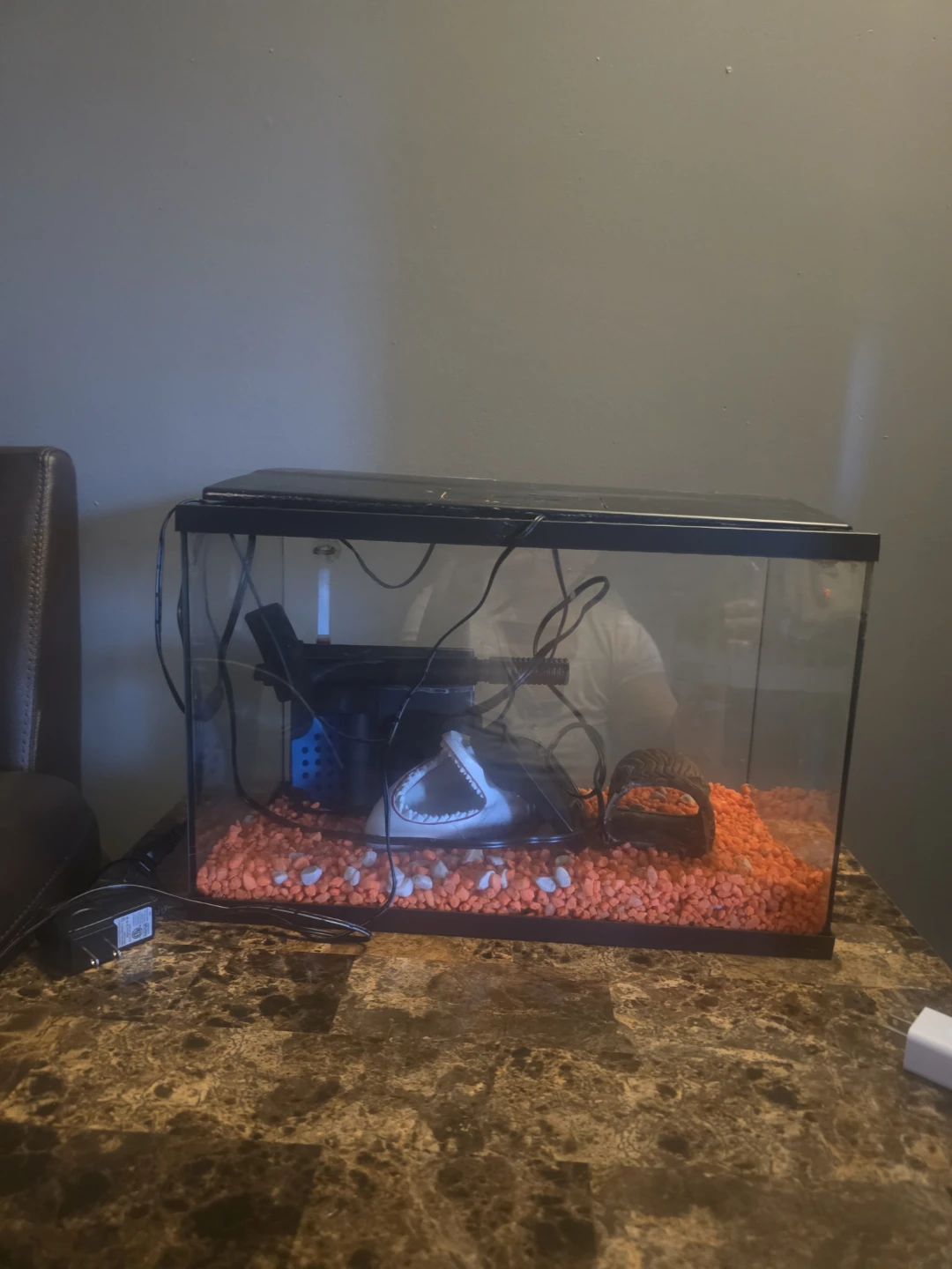 Fish tank
