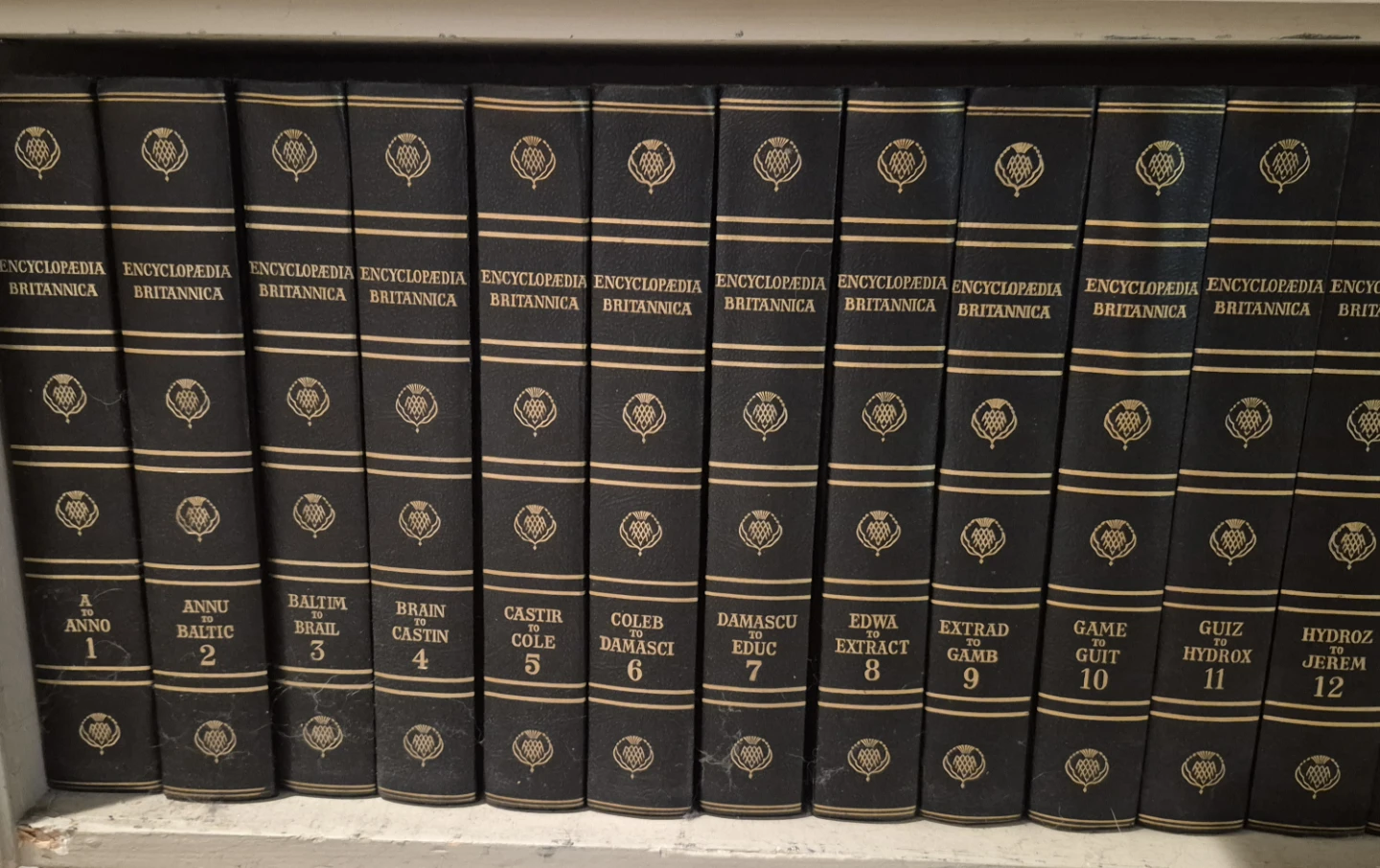 Encyclopaedia Britannica and World Language Dictionary set