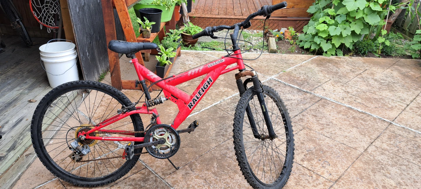 Raleigh Legend Mountain Bike