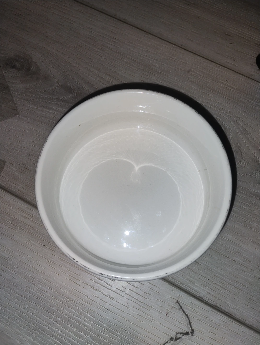 Bowl with lid