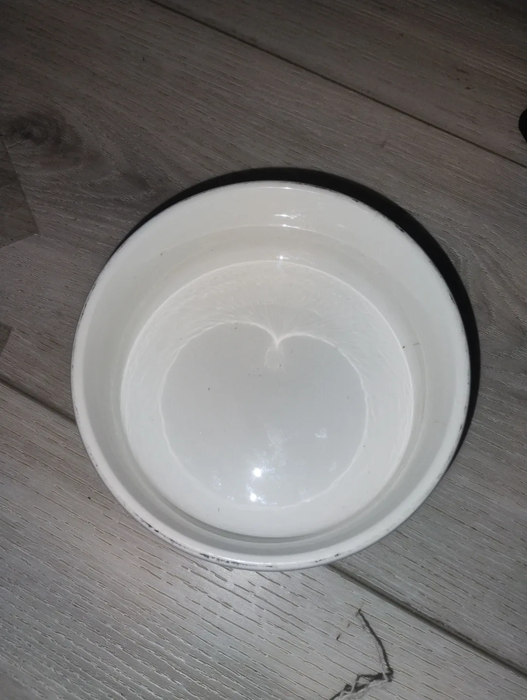 Bowl with lid