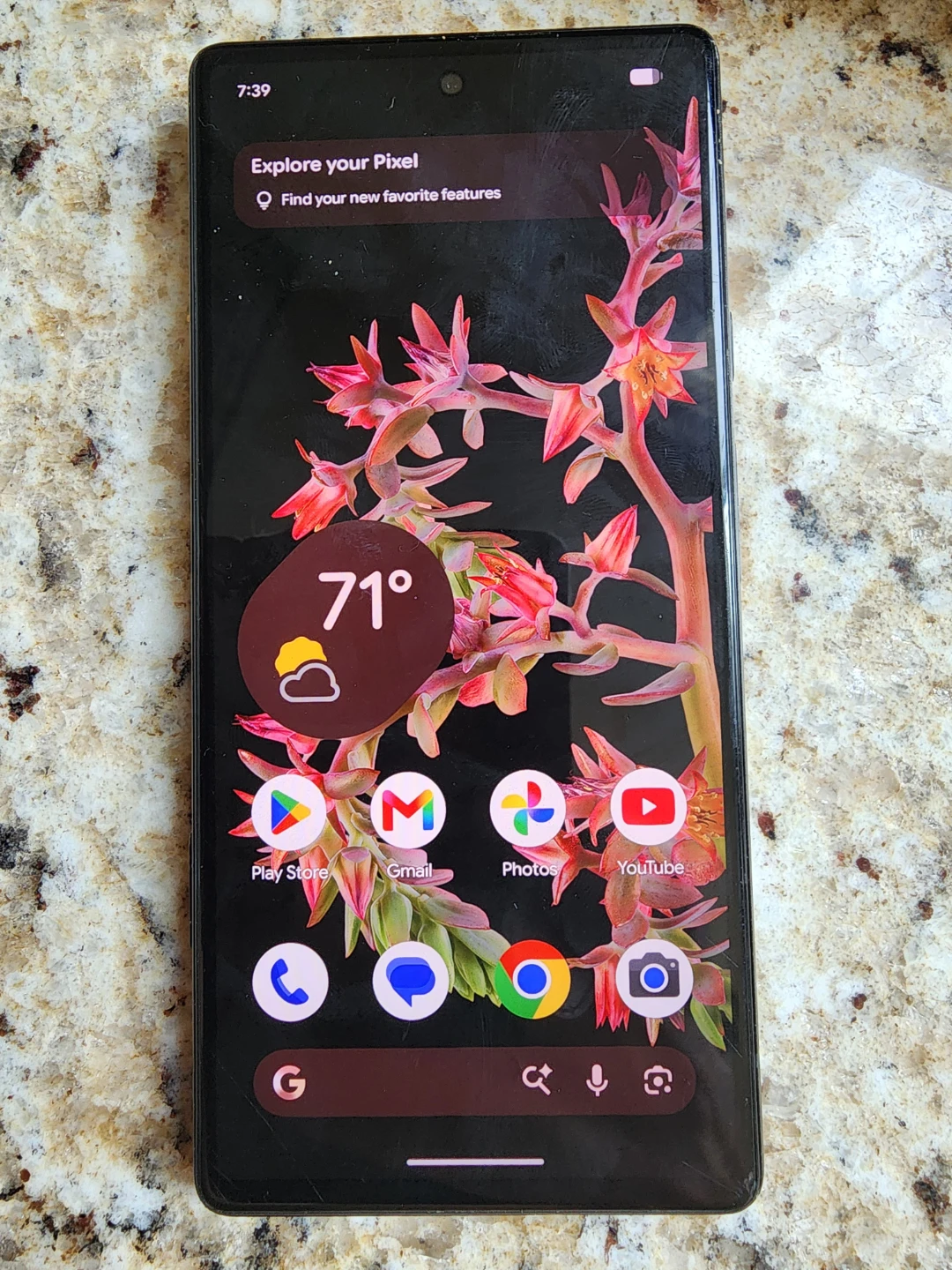 Google Pixel 6  Smartphone