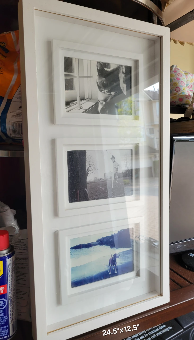Wall Decor. Bird Canvas, Sunset Painting, White Collage Frame - photo 4