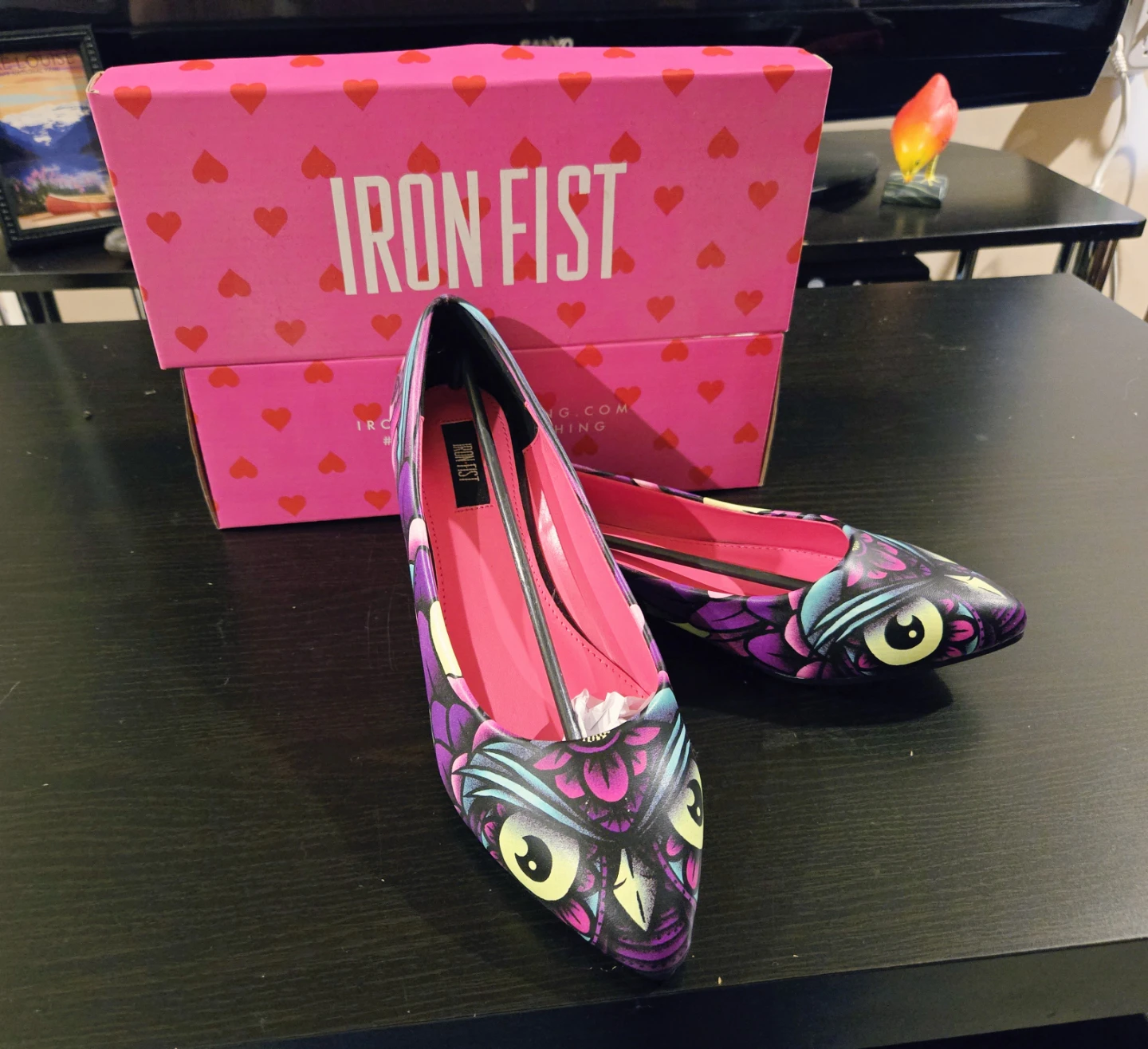 Iron Fist "Owl" Print Ballet Flats size 10