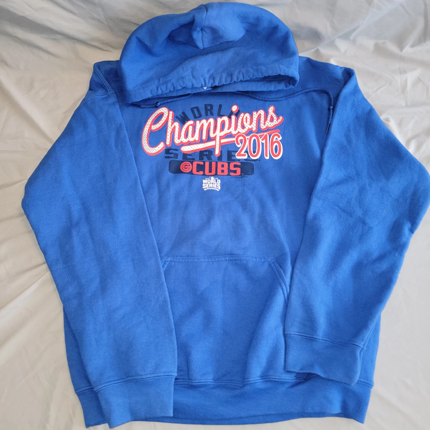 Chicago Cubs 2016 World Series Champions Hoodie