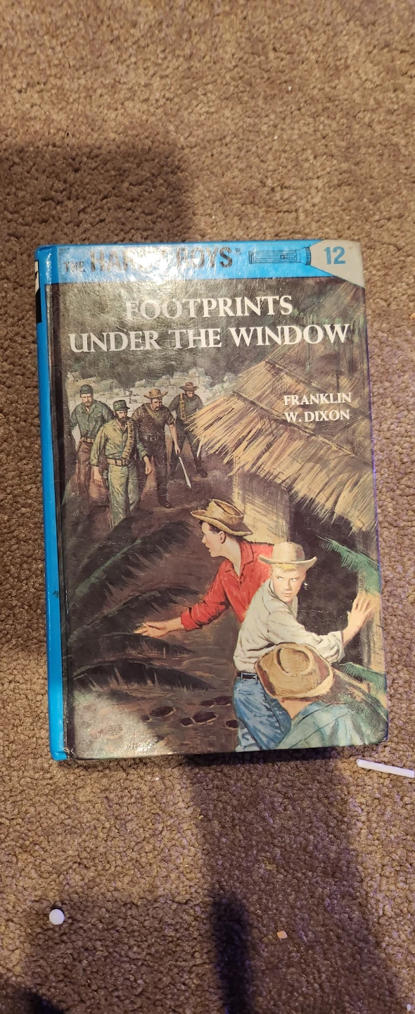 The Hardy Boys Book Set - photo 5