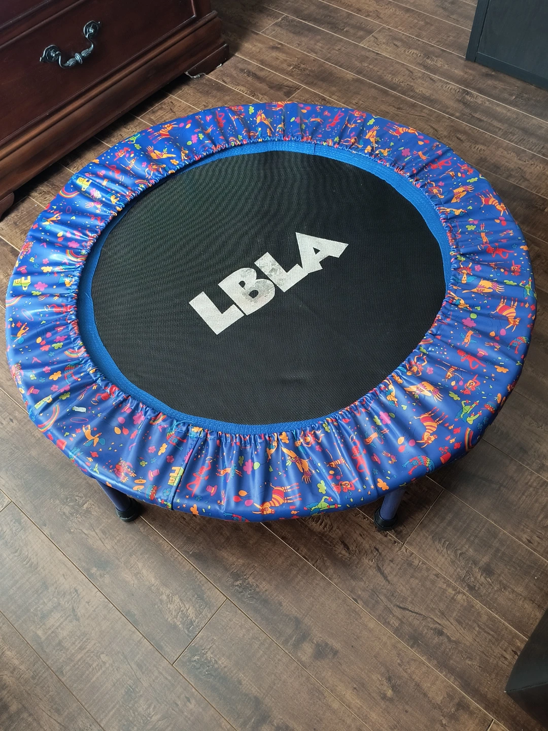 LBLA Kids Mini Trampoline $20