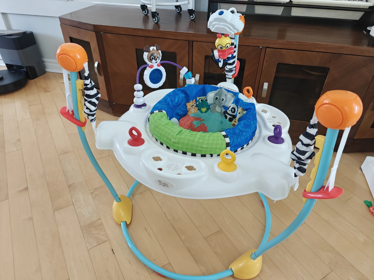 Baby Einstein Neighborhood Friends Activity Jumper