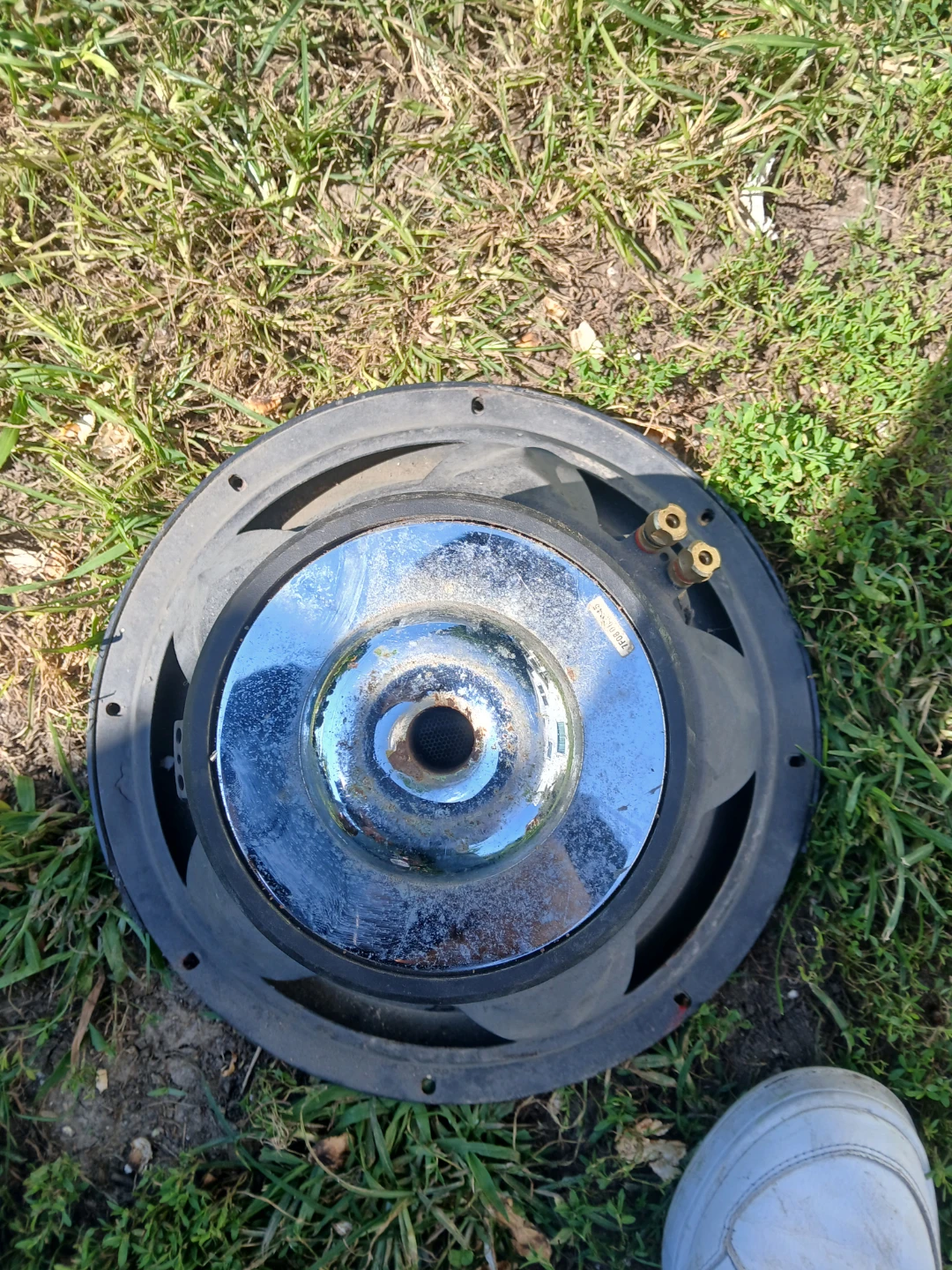 Insignia Subwoofer Speaker - photo 3