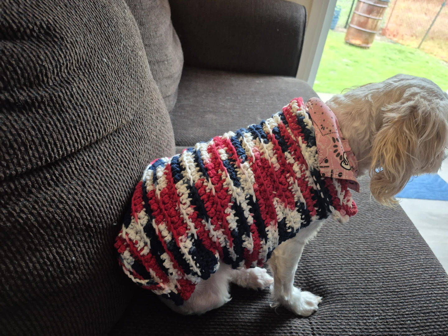 Handmade Crochet Dog Sweater
