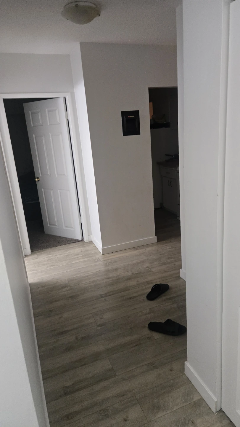 2-Bedroom Apartment for Rent in Burquitlam - photo 3