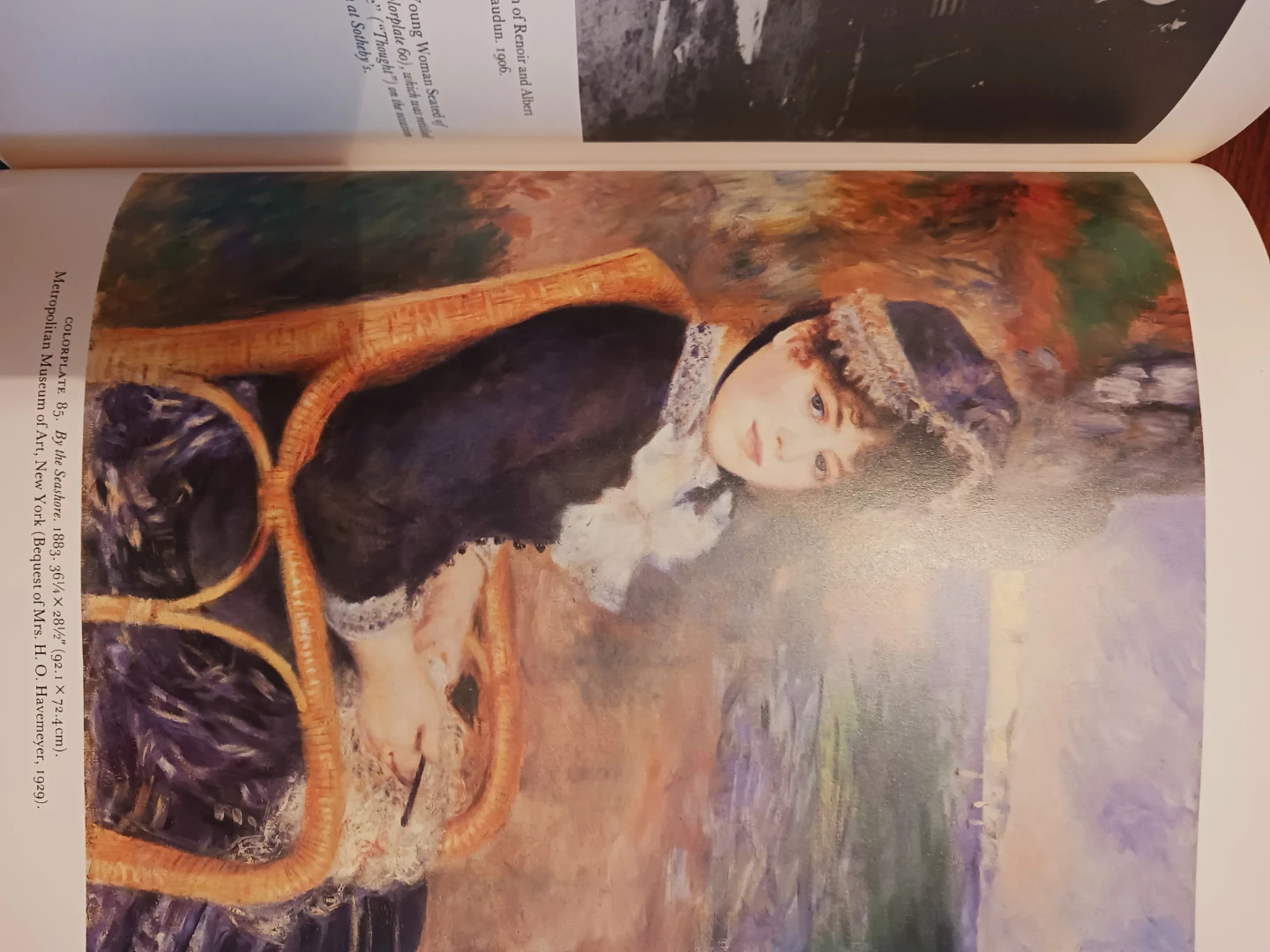 Renoir: A Retrospective Art Book - photo 3