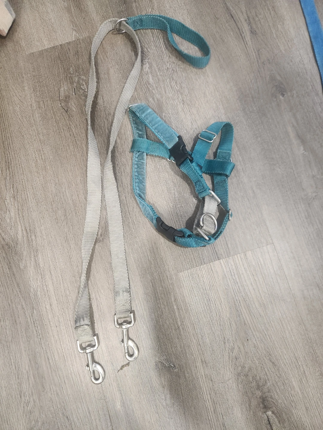Teal Dog Harness with Leash
