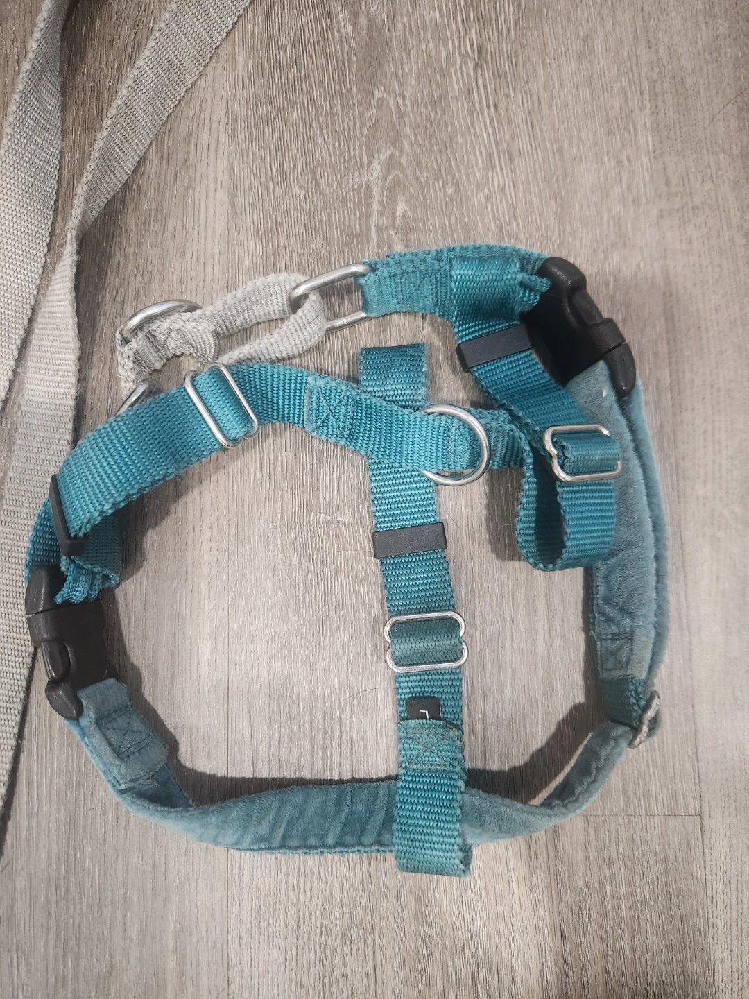 Teal Dog Harness with Leash - photo 2