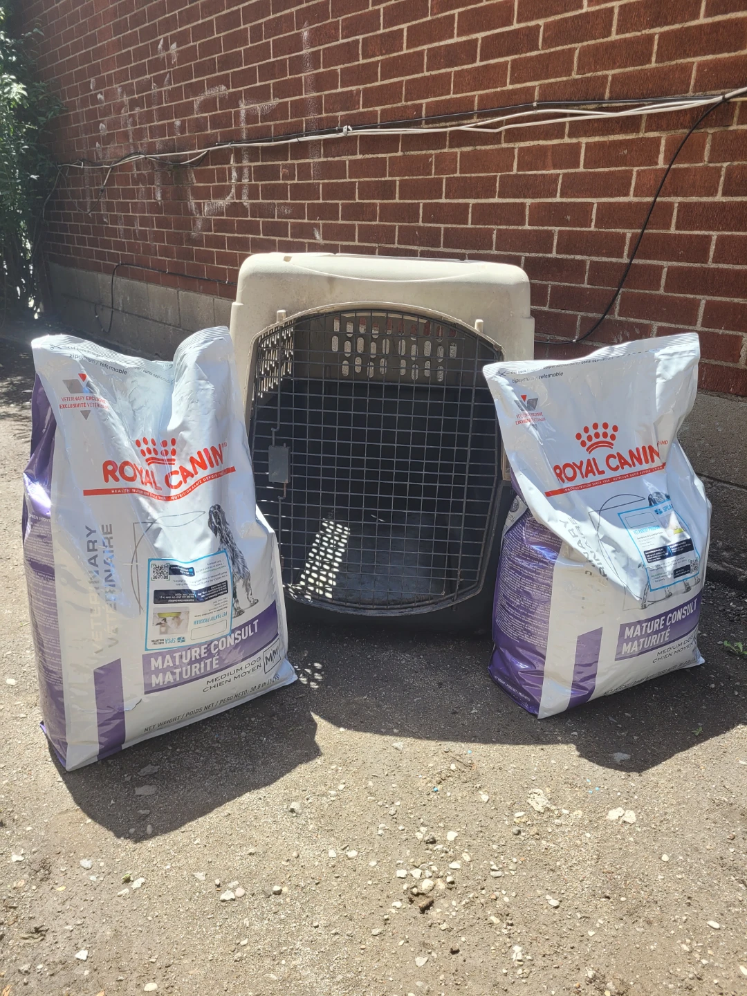 Royal Canin Mature Consult Dog Food (Medium Dog)