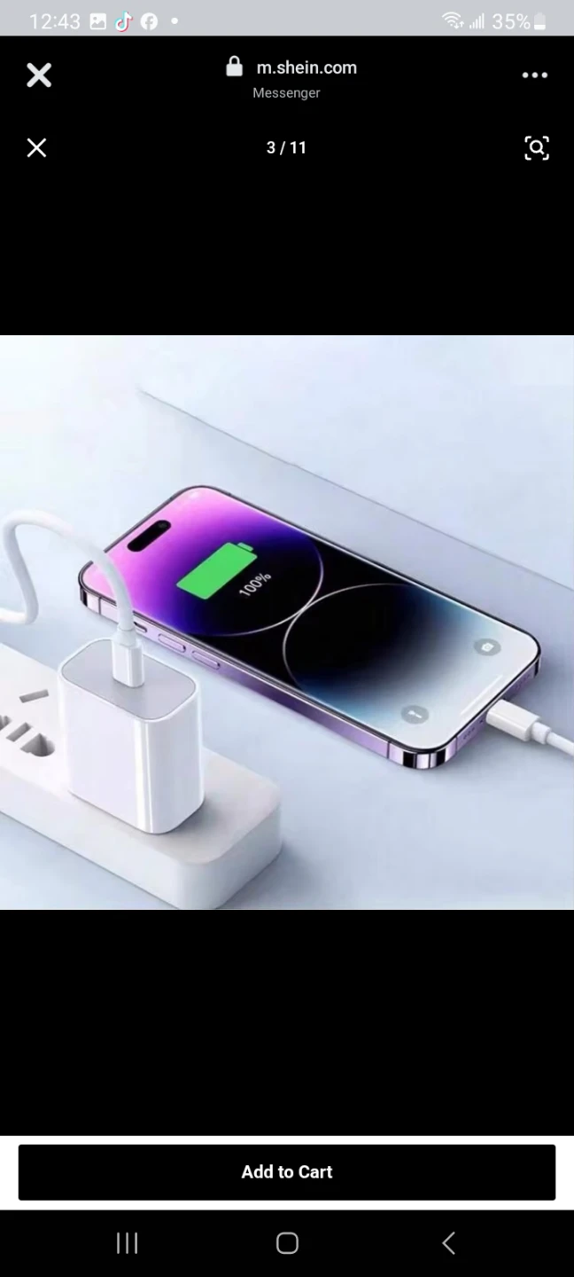 Fast Charger - photo 2