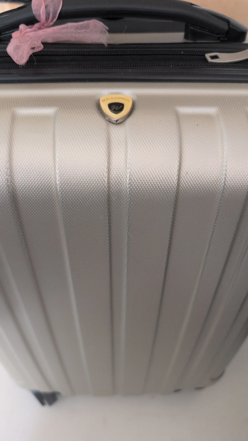 WEN EXPRESS Silver Hardside Spinner Suitcase
