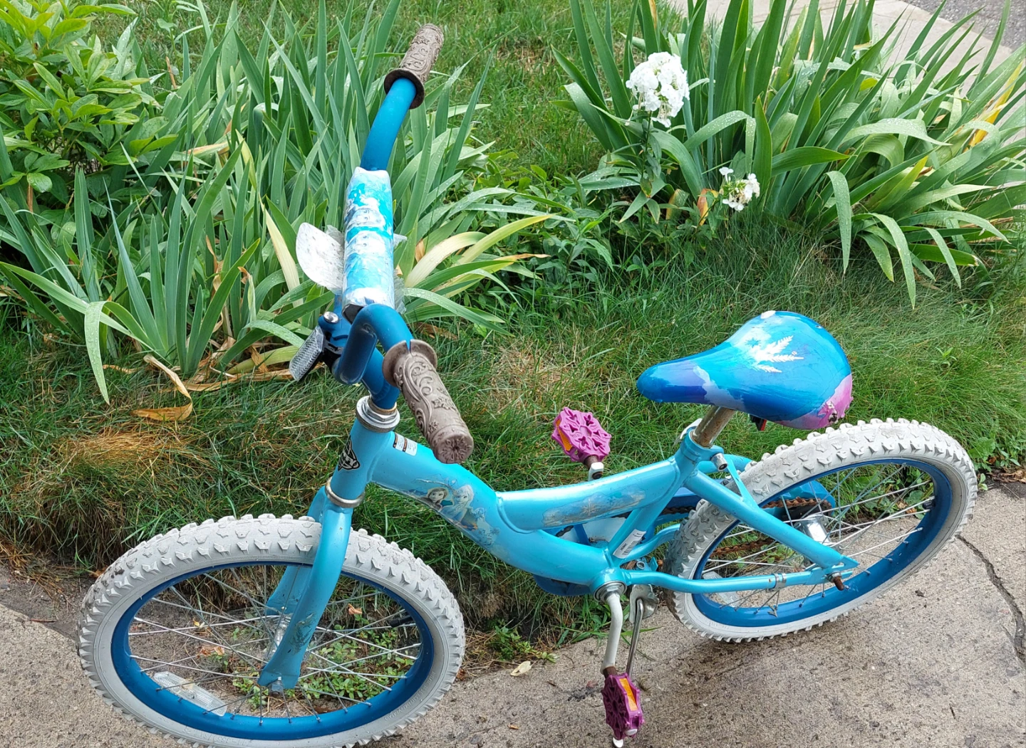 Kids' Blue Frozen Bicycle