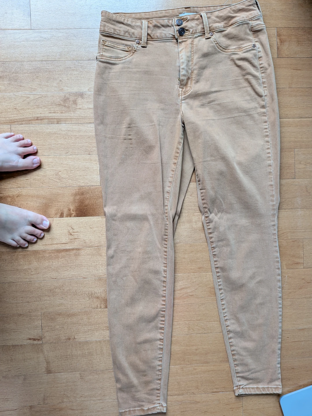 Maurices Women's Khaki Jeans