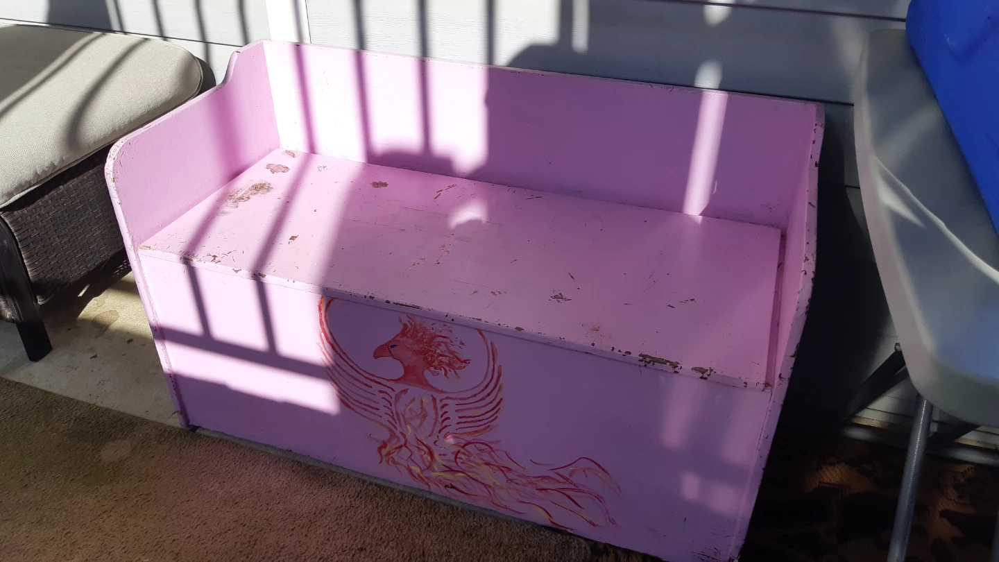 Pink Toy Box Bench with Phoenix Design