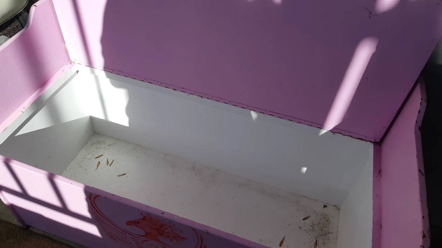 Pink Toy Box Bench with Phoenix Design - photo 3