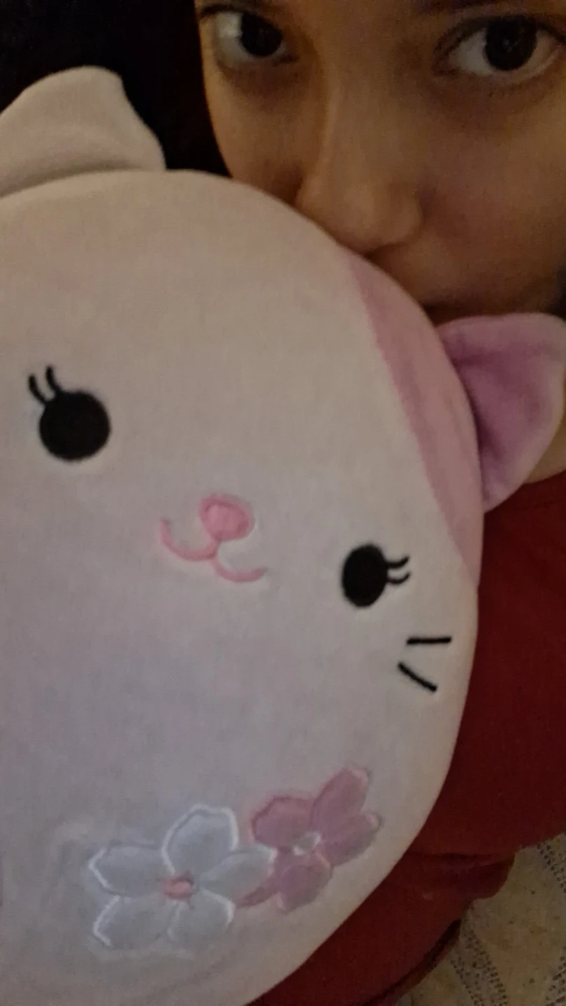 Pink Cat Plush Toy with Flowers