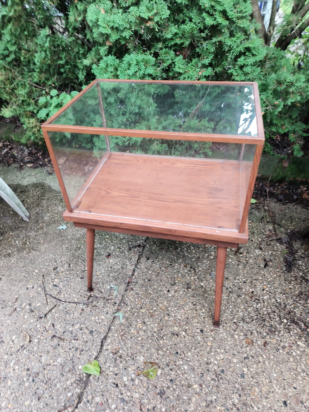 Old Display Case 35 tall x 26 x 18 1/2