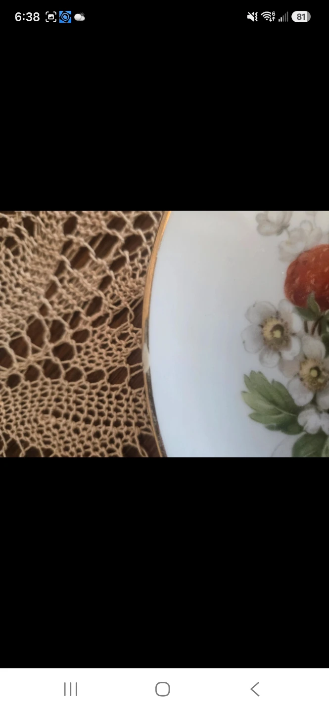Hutschenreuther Selb Plate Set - Fruit Design - photo 4