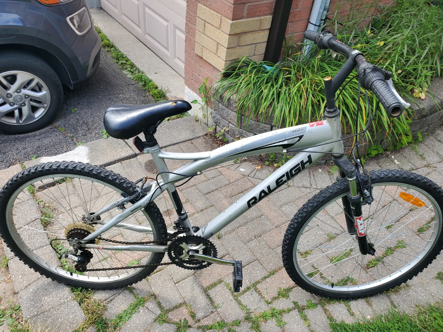 Silver Raleigh Ambush mountain bike