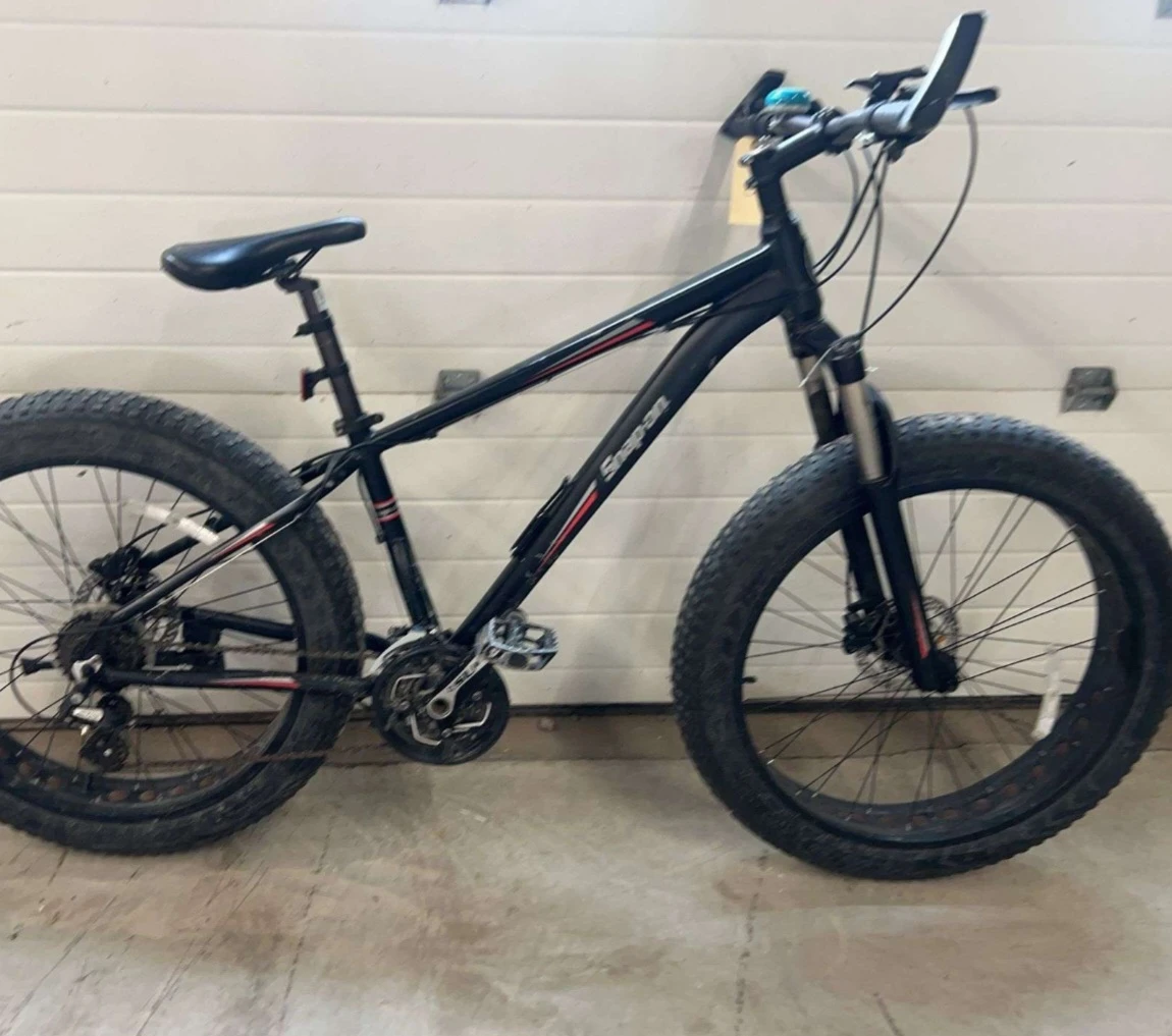 Snap-on Fat Tire Mountain Bike - photo 2