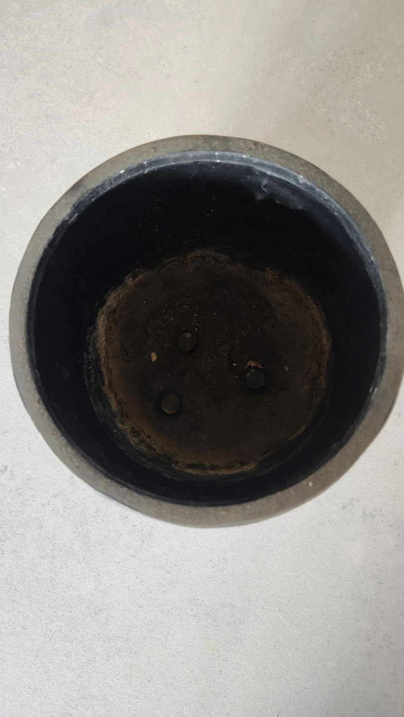 Plant Pot - photo 2