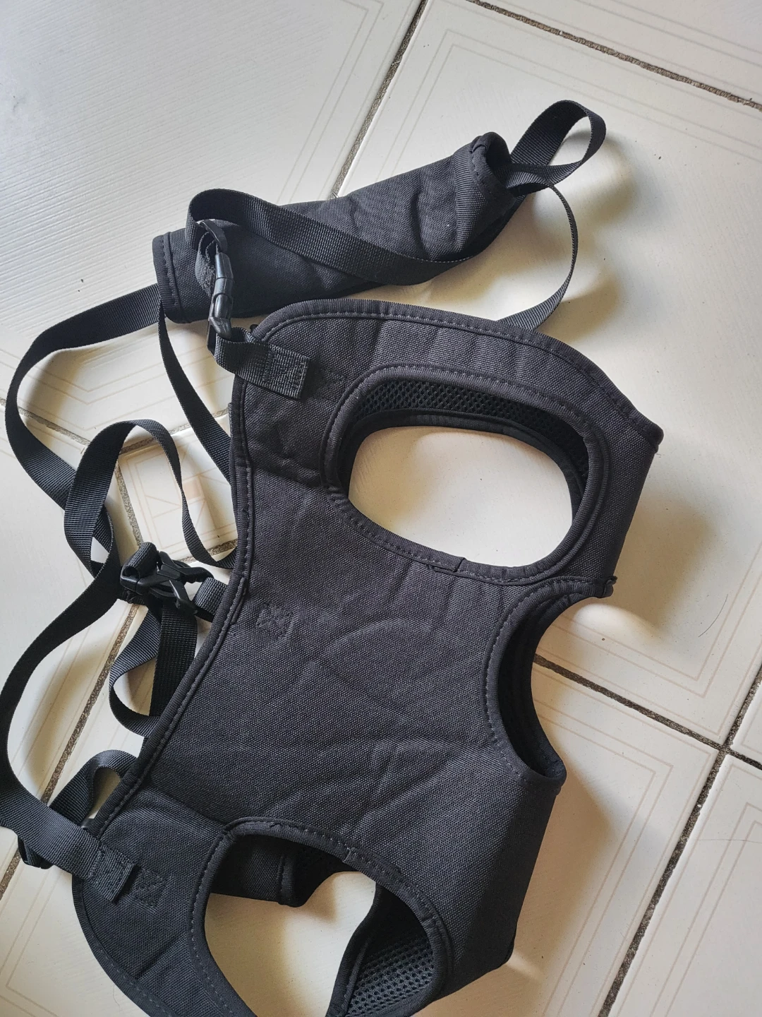 Black Dog Harness - photo 2
