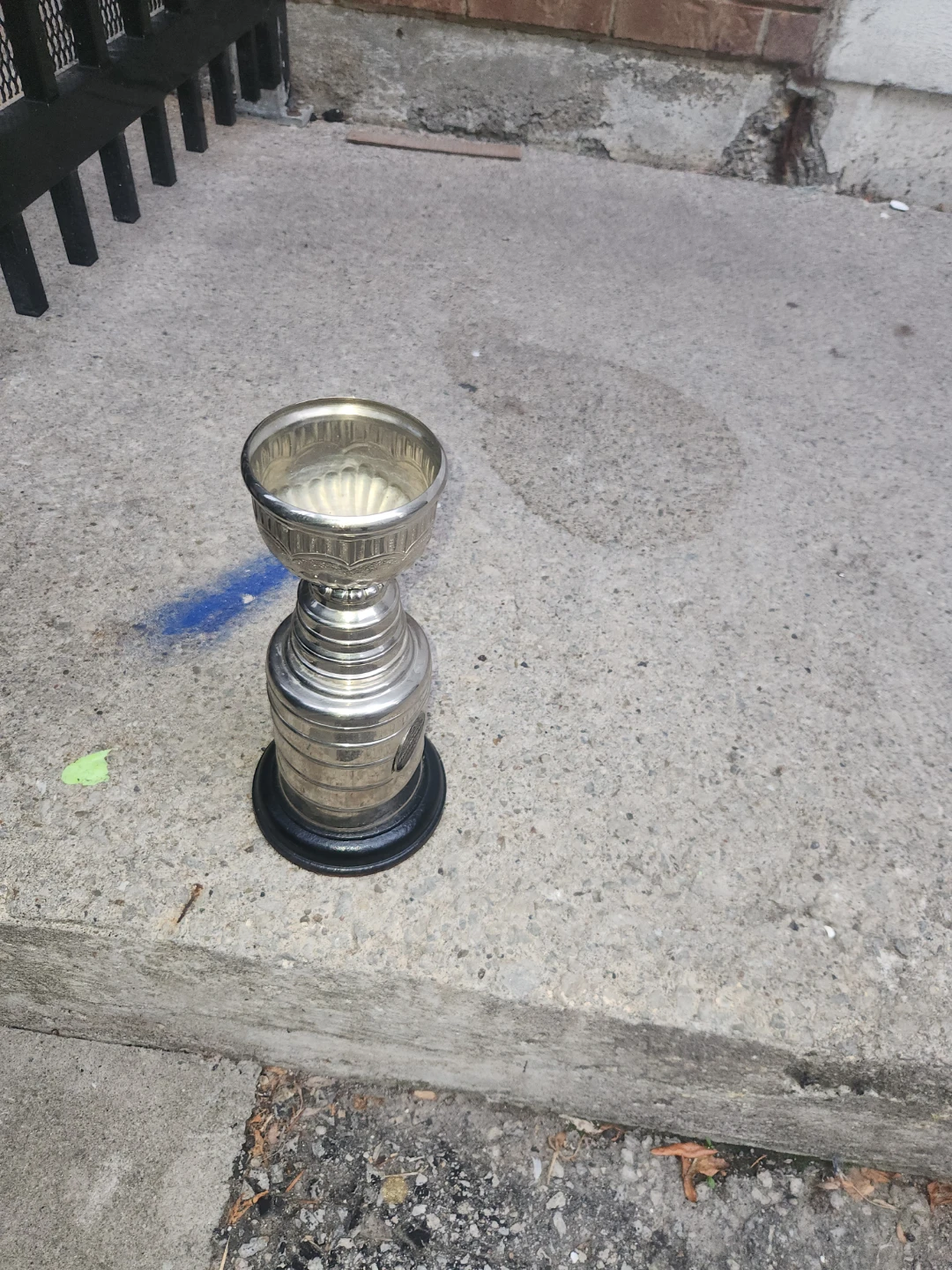True North Hockey League Champions Trophy - photo 2
