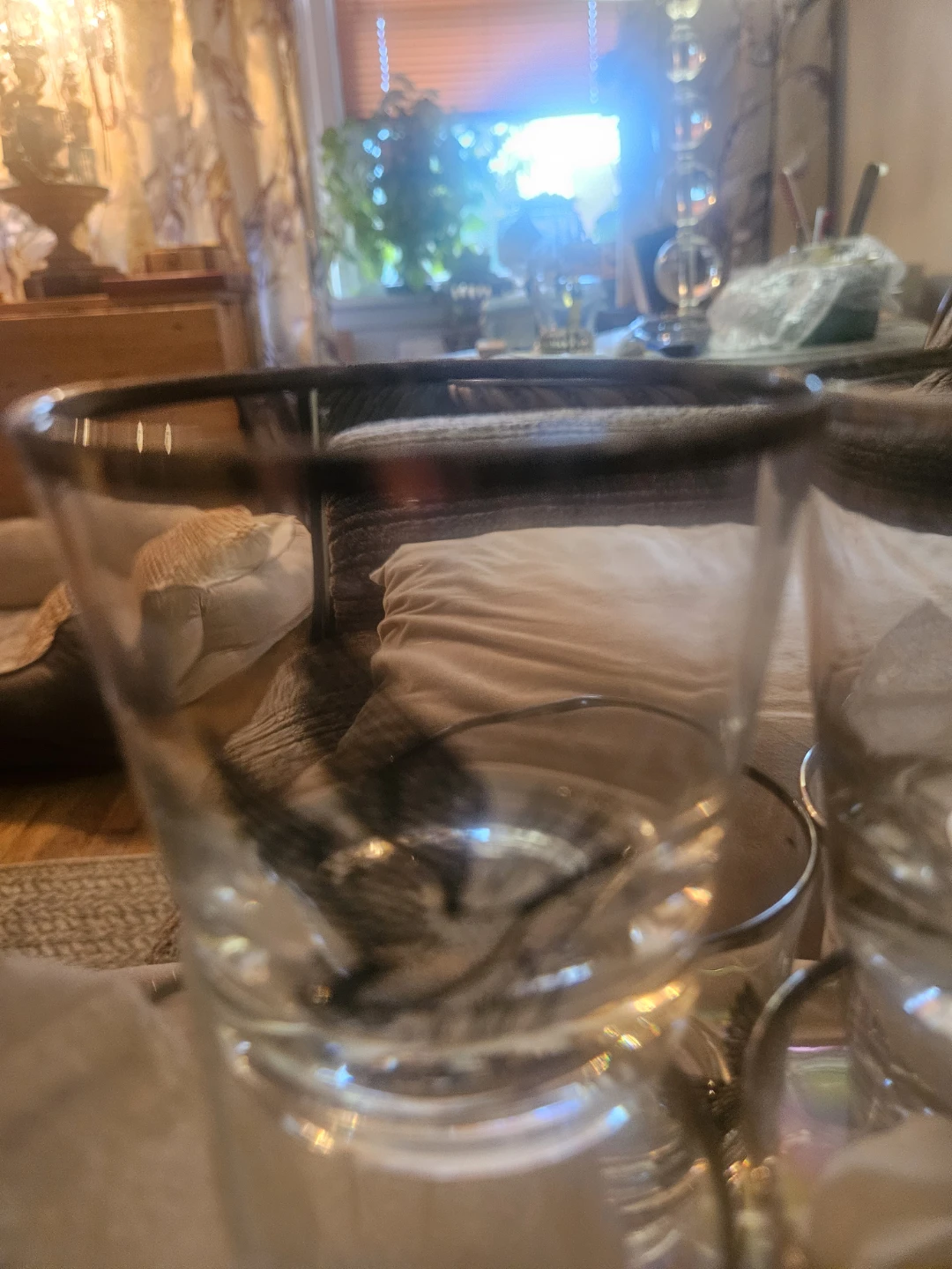 Set of 6 Vintage MID.Century modernball Gamebird Glass - photo 3