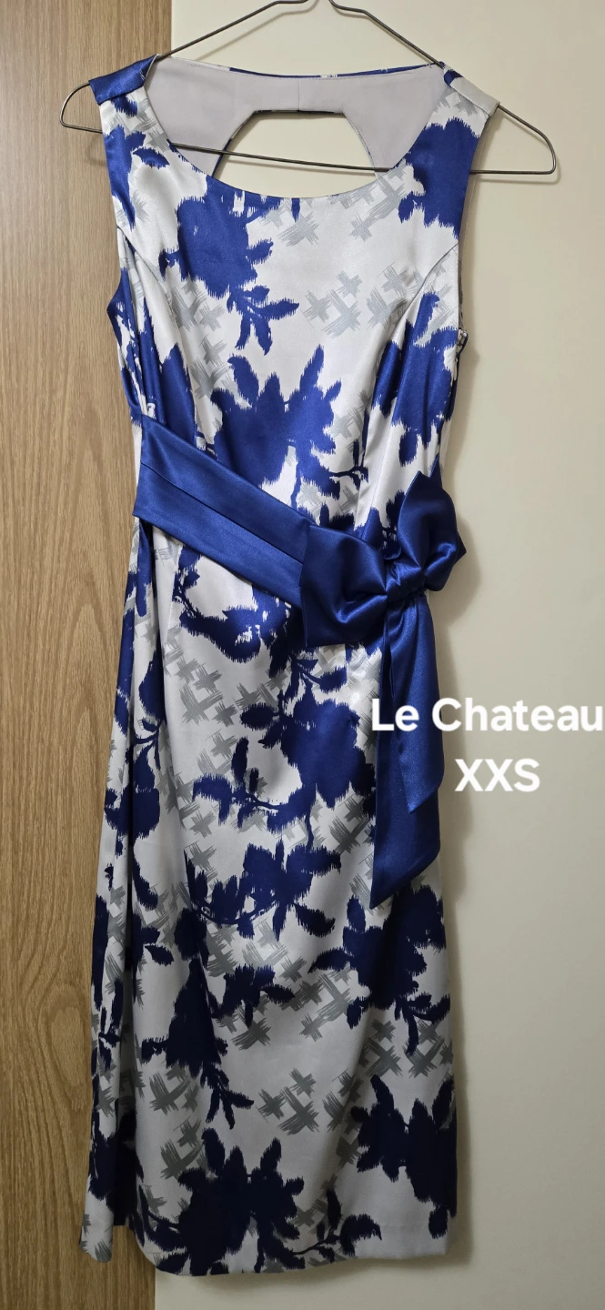Le Chateau Sleeveless Floral Dress XXS