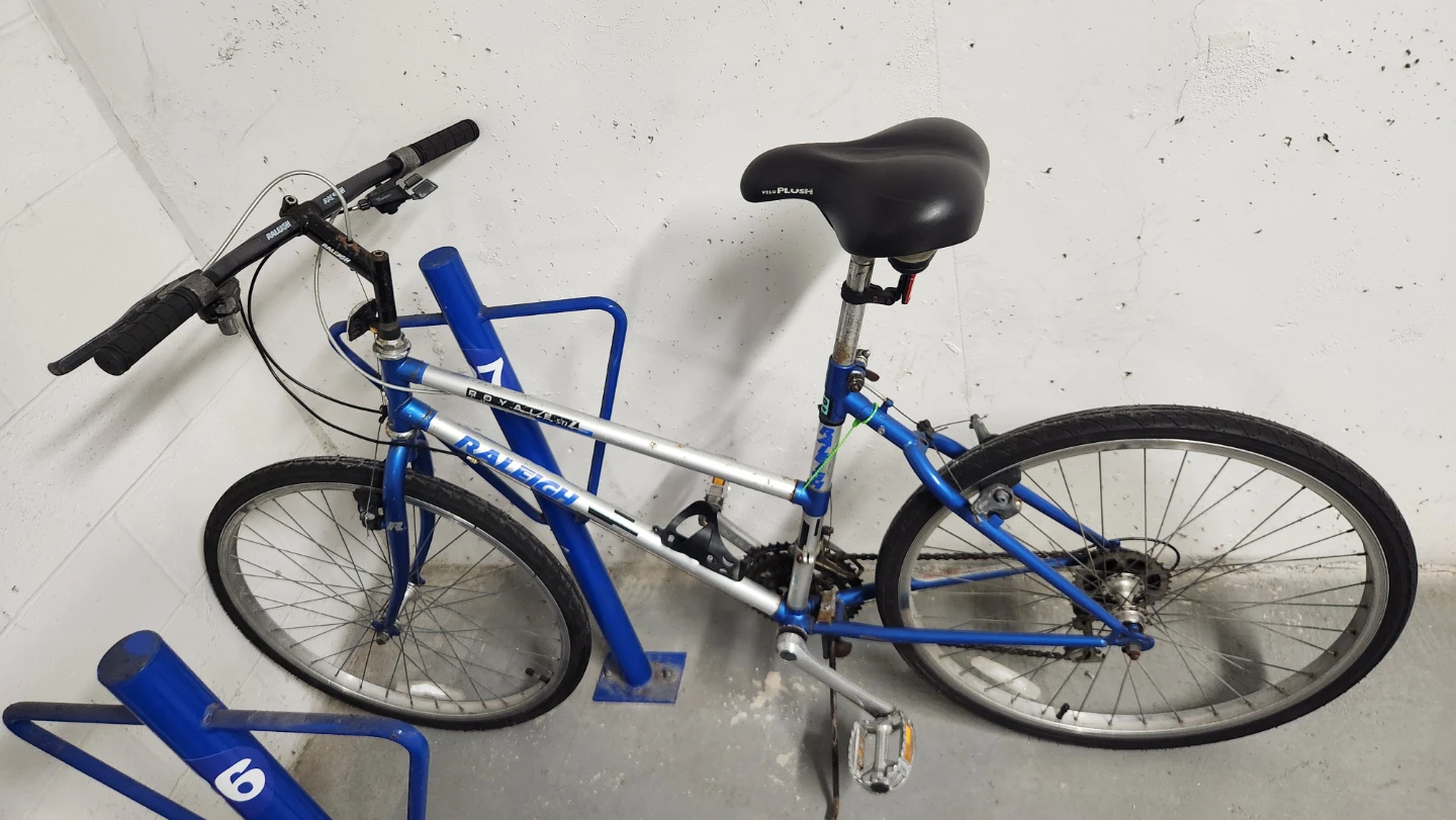 Raleigh Royale 100 Mountain Bike