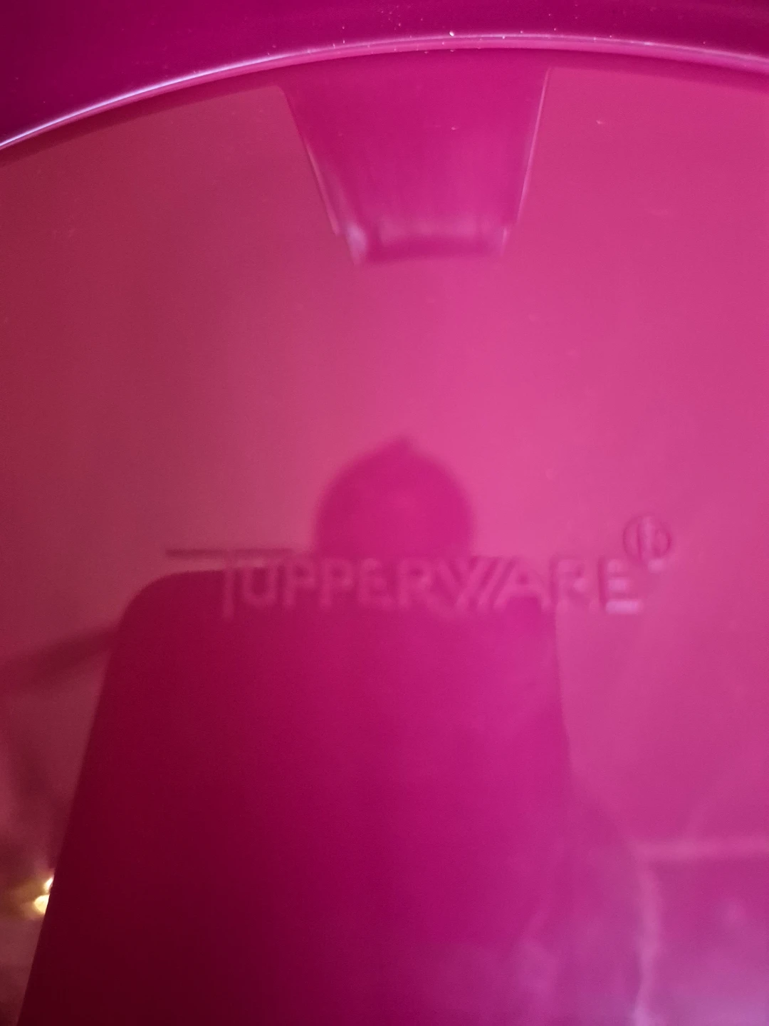 Tupperware Cake Taker Carrier Container - photo 4
