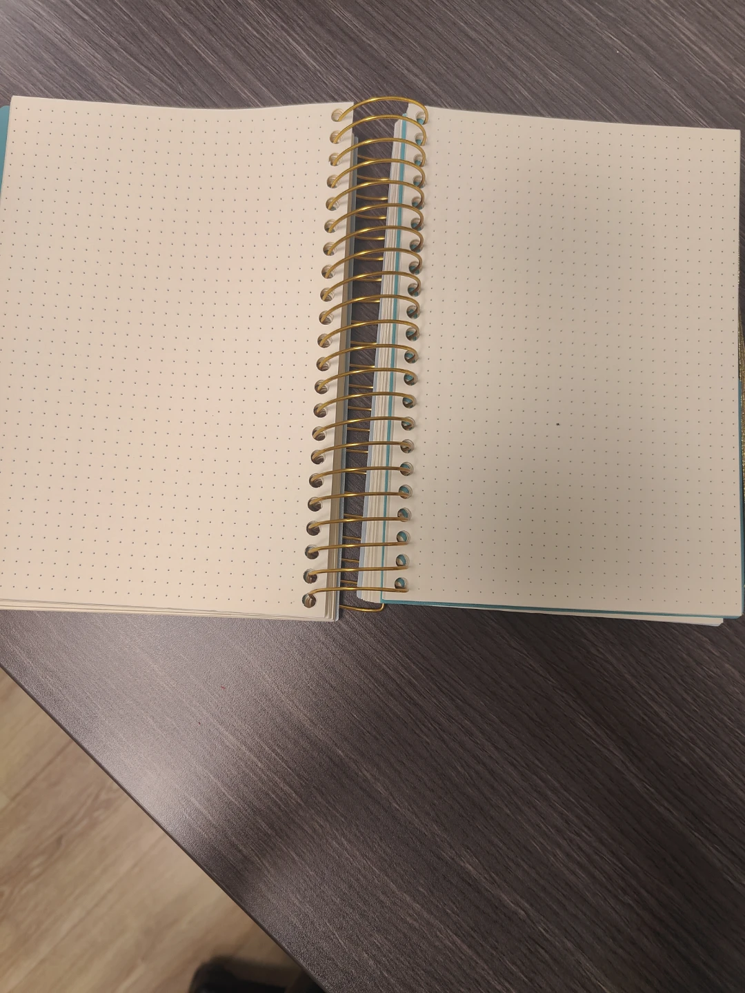 Firstline Jumbo Journal - photo 3