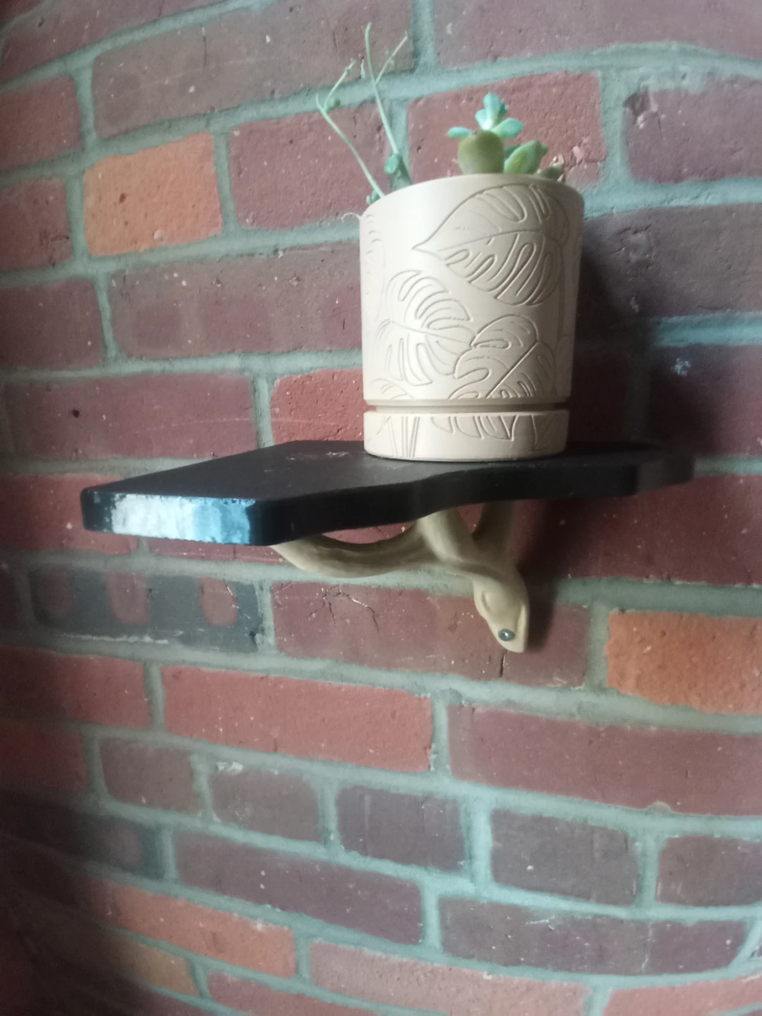 Wall Mounted Shelf with Decorative Bracket - photo 4