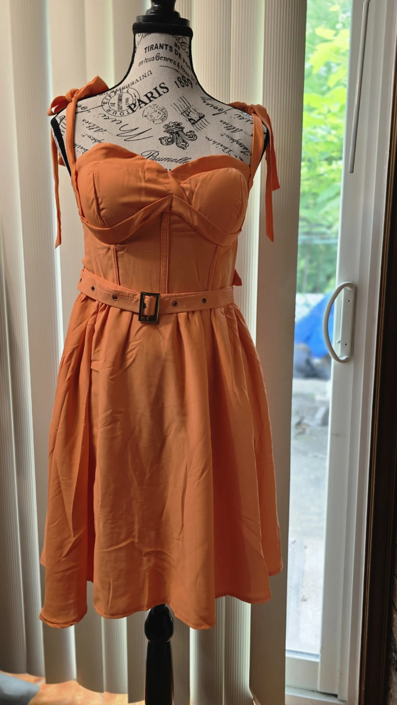 Orange Bustier Corset Dress with Belt