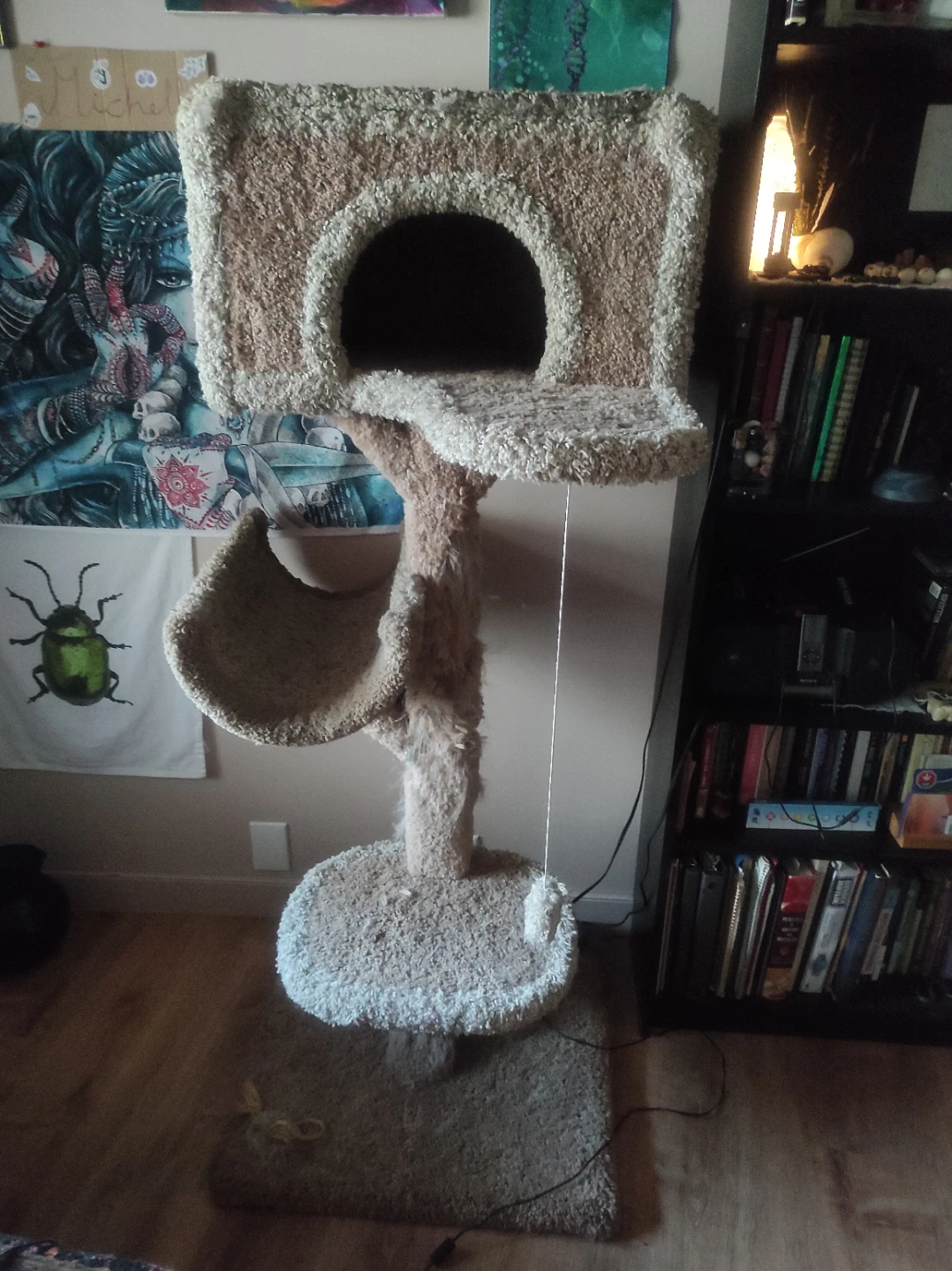 Free tall cat tree