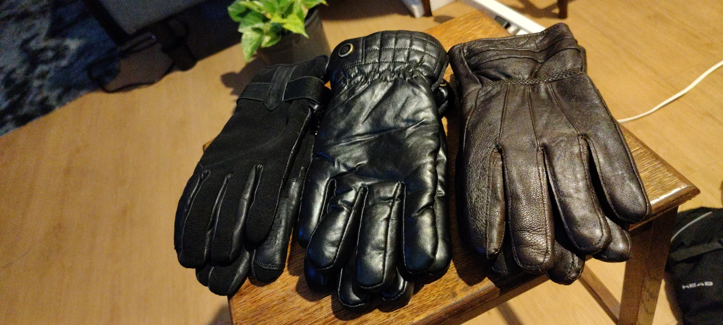 Three Pairs of Gloves - photo 2
