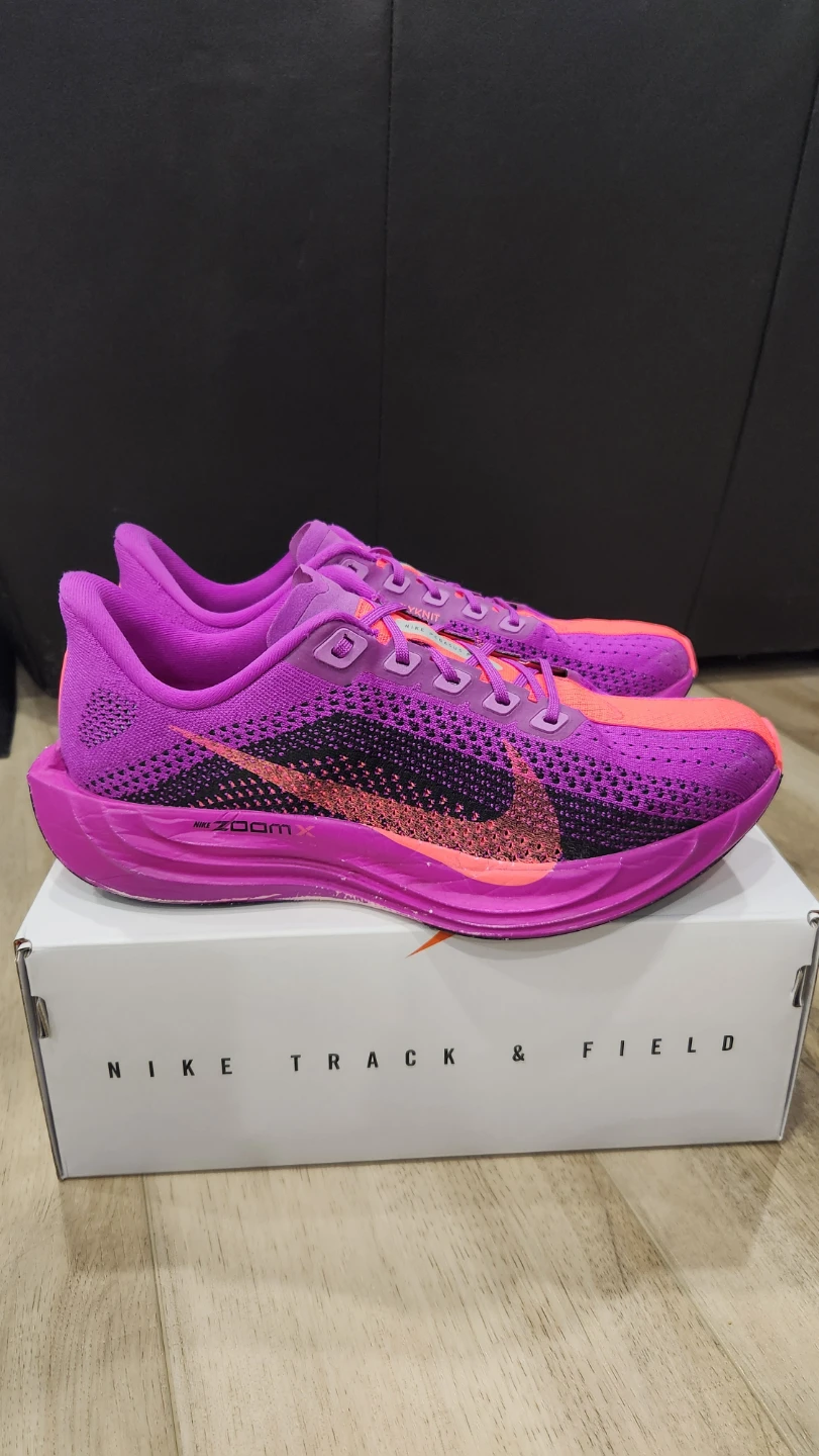 Nike Pegasus Plus - photo 2