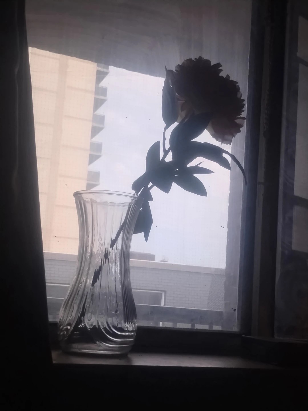 Glass Bud Vase