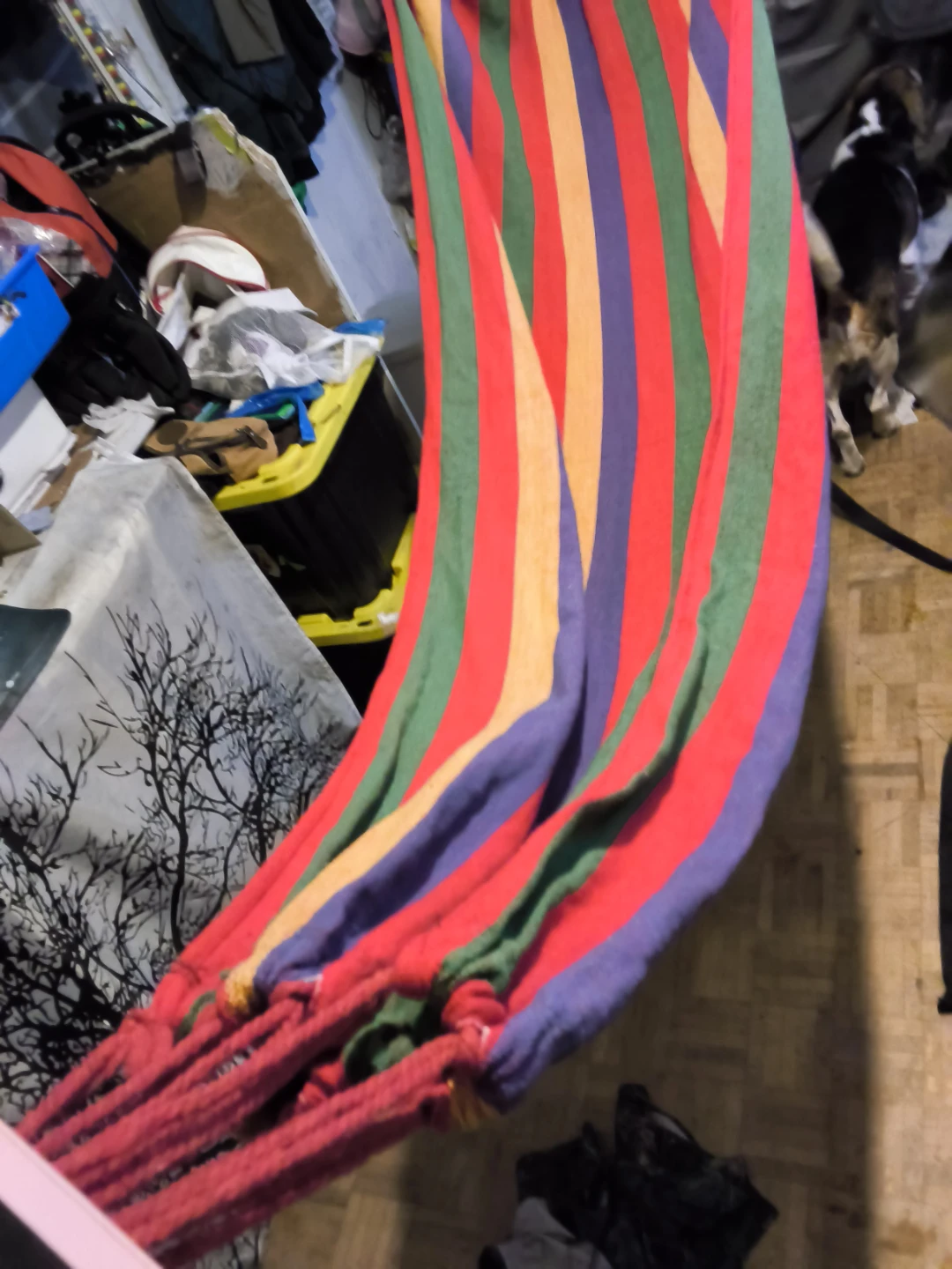 hammock
